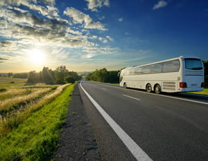 Driftwood Area BBQ, Winery & Brewery Shuttle