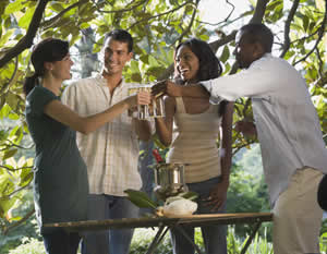 Granbury Area Winery Bus Tour & Italian Dishes